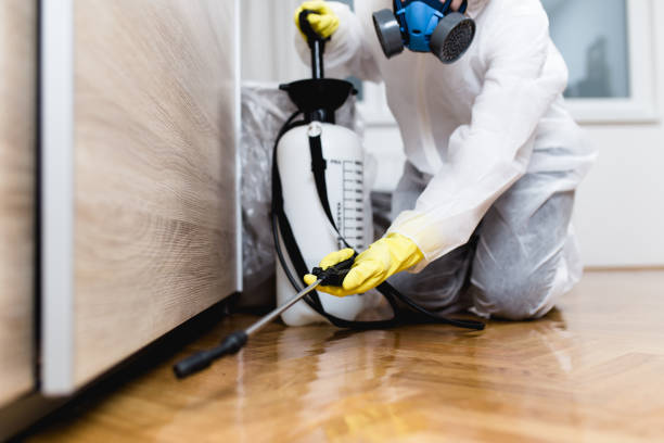 Best Flea Control Services  in Torrington, WY