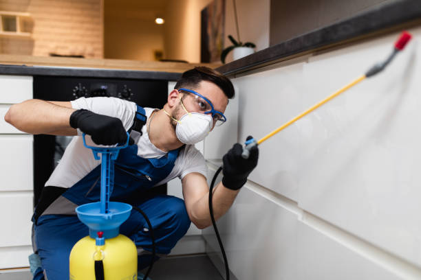Best Mosquito Control Services  in Torrington, WY