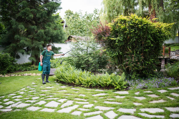 Best Pest Prevention Services  in Torrington, WY