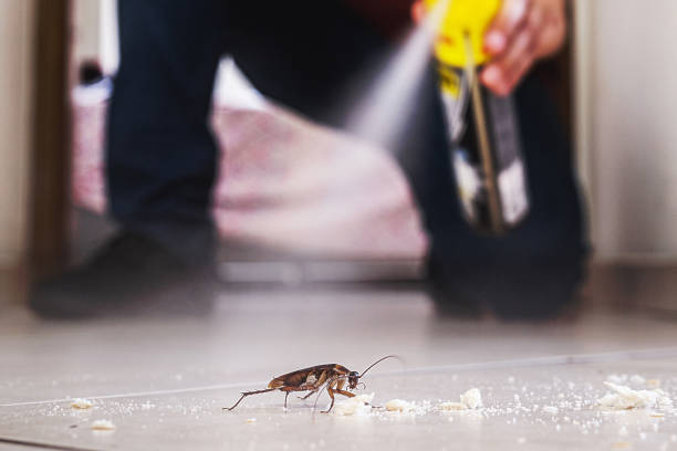Reliable Torrington, WY Pest Control Solutions